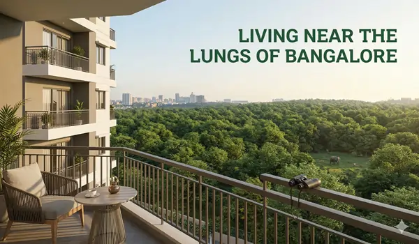 Living Near the Lungs of Bangalore: Exploring Bannerghatta National Park from Your Balcony Living Near the Lungs of Bangalore: Exploring Bannerghatta National Park from Your Balcony